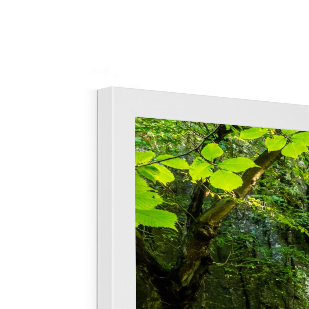 Catrigg Foss Framed Print
