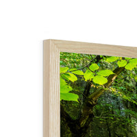Catrigg Foss Framed Print