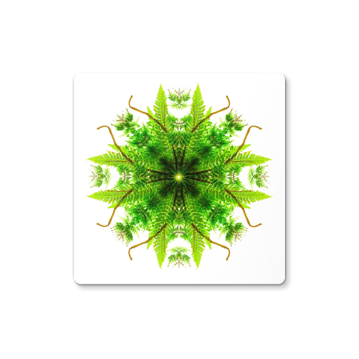 Heart of Nature Coaster