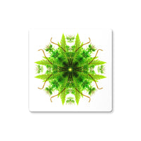 Heart of Nature Coaster