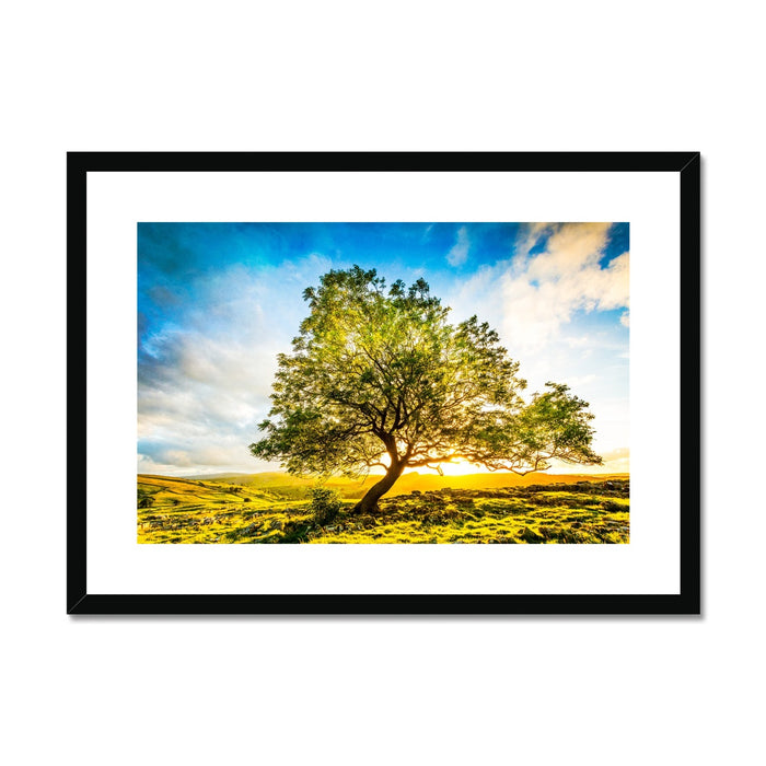 The Winskill Ash Framed & Mounted Print
