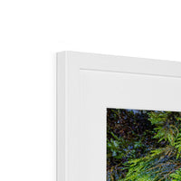 Ivy Clad Framed & Mounted Print