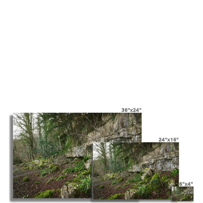 Woodwell Secrets Wall Art Poster