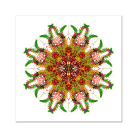 Bounty Mandala Hahnemühle Photo Rag Print