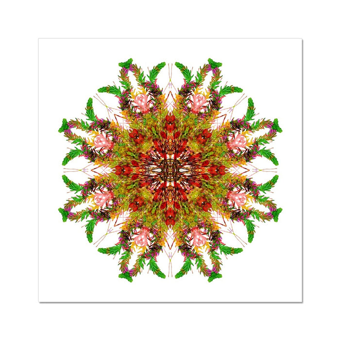 Bounty Mandala Hahnemühle Photo Rag Print