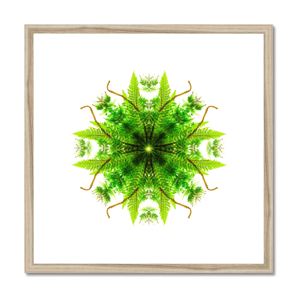 Heart of Nature Framed & Mounted Print