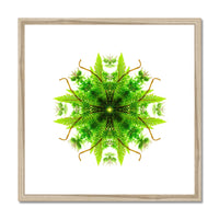 Heart of Nature Framed & Mounted Print