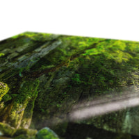 Catrigg Foss Canvas