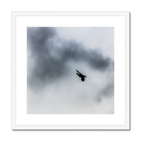 Storm Raven 3 Framed & Mounted Print