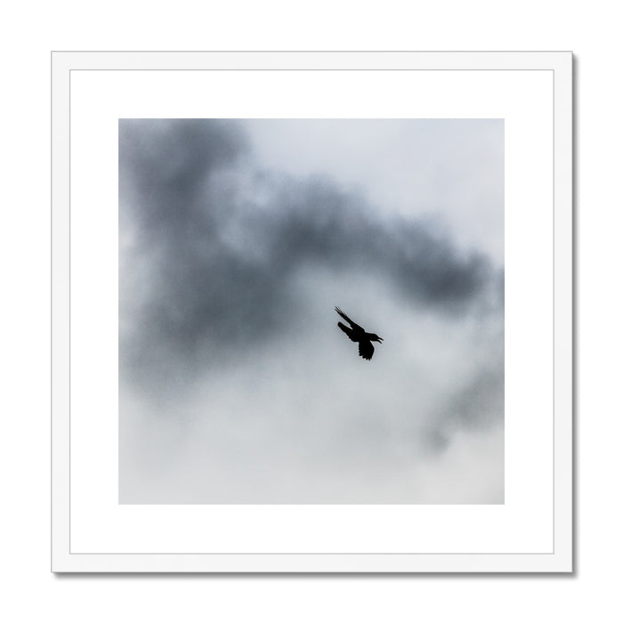 Storm Raven 3 Framed & Mounted Print