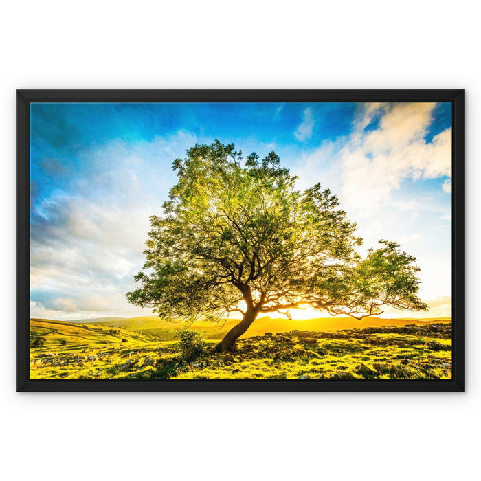The Winskill Ash Framed Canvas