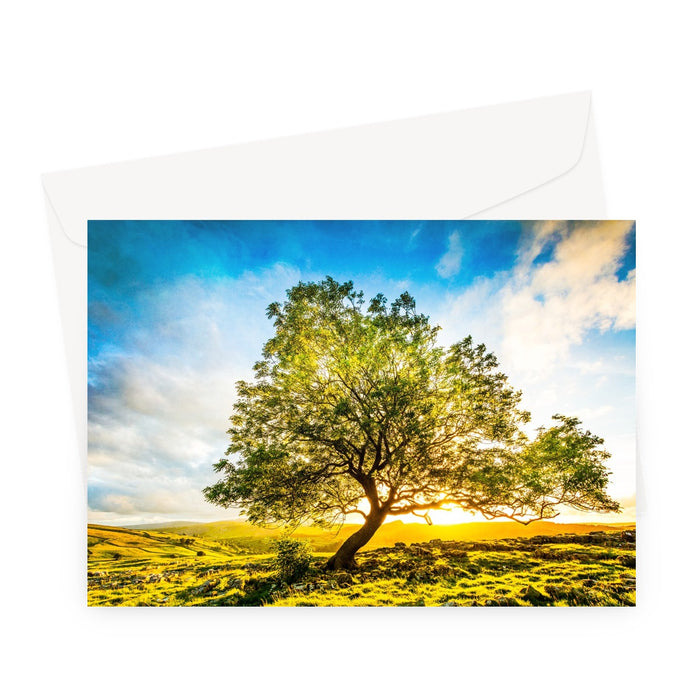The Winskill Ash Greeting Card