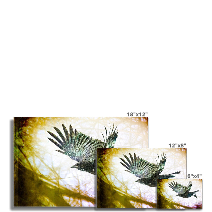 Woodland Crow Fine Art Print
