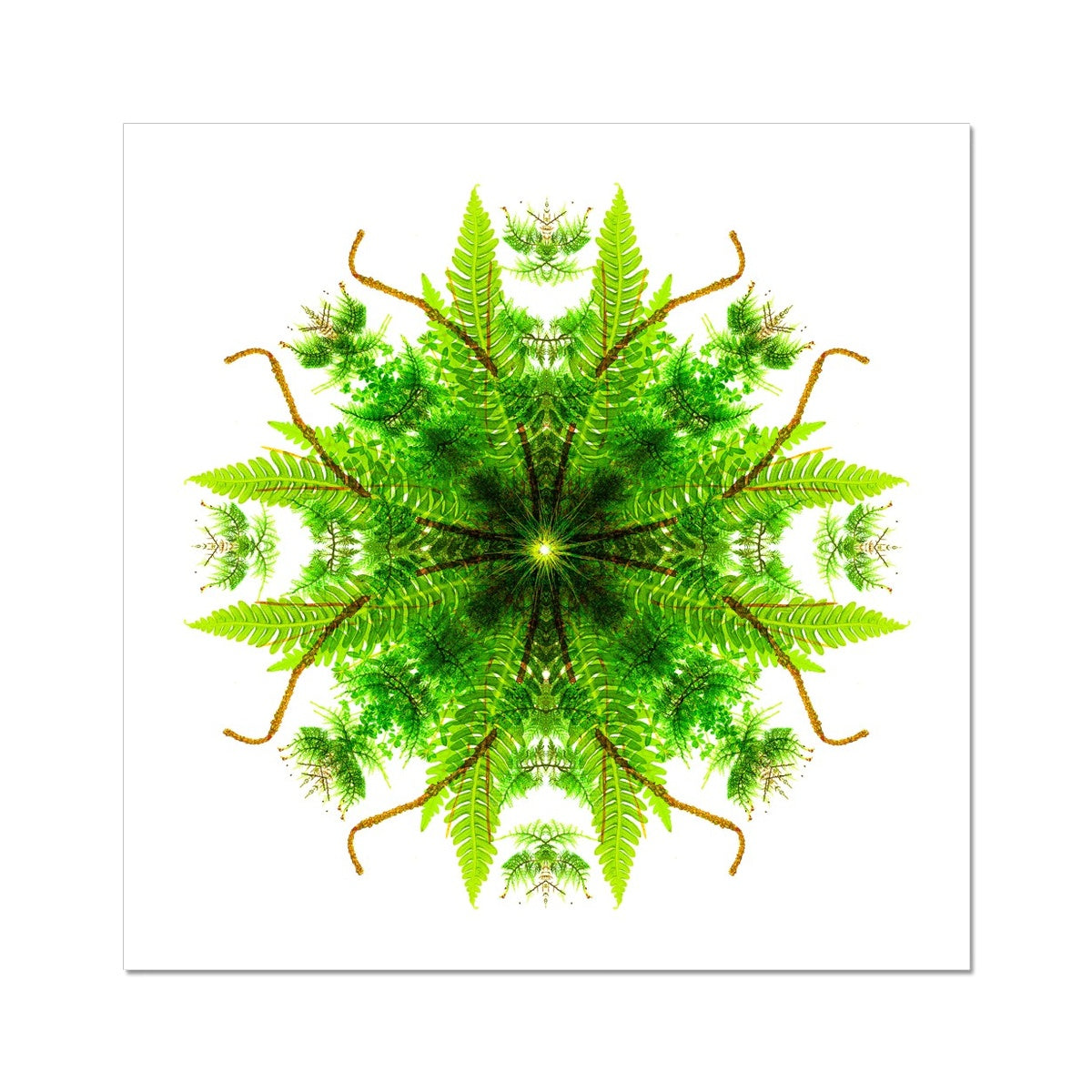 Heart of Nature Fine Art Print