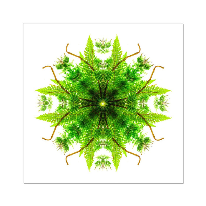 Heart of Nature Fine Art Print