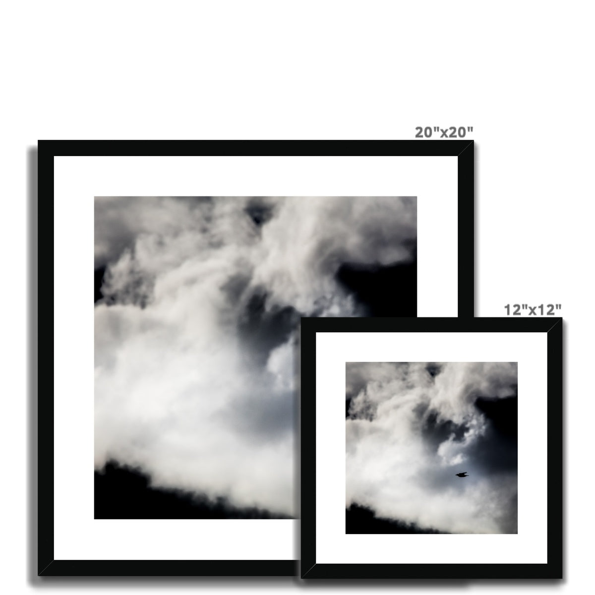 Storm Raven 1 Framed & Mounted Print