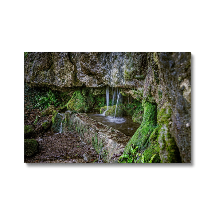 Woodwell basin Canvas