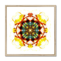 Earth Healing Budget Framed Poster