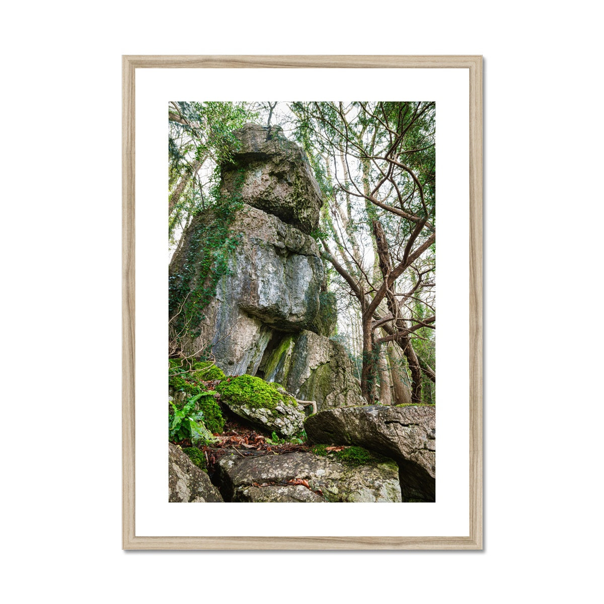 Rock Guardian Framed & Mounted Print