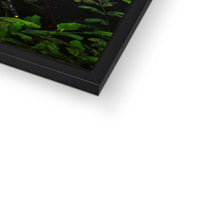 Sacred Pool Framed Print