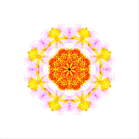 Creativity Mandala Sticker