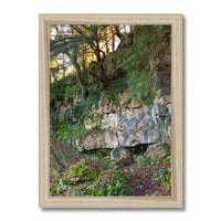 Woodwell Mystery Framed Print