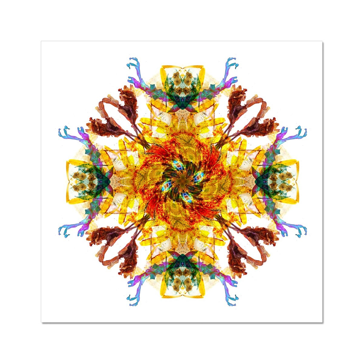 Ancient Wisdom Mandala Fine Art Print