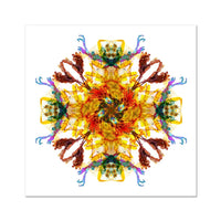 Ancient Wisdom Mandala Fine Art Print