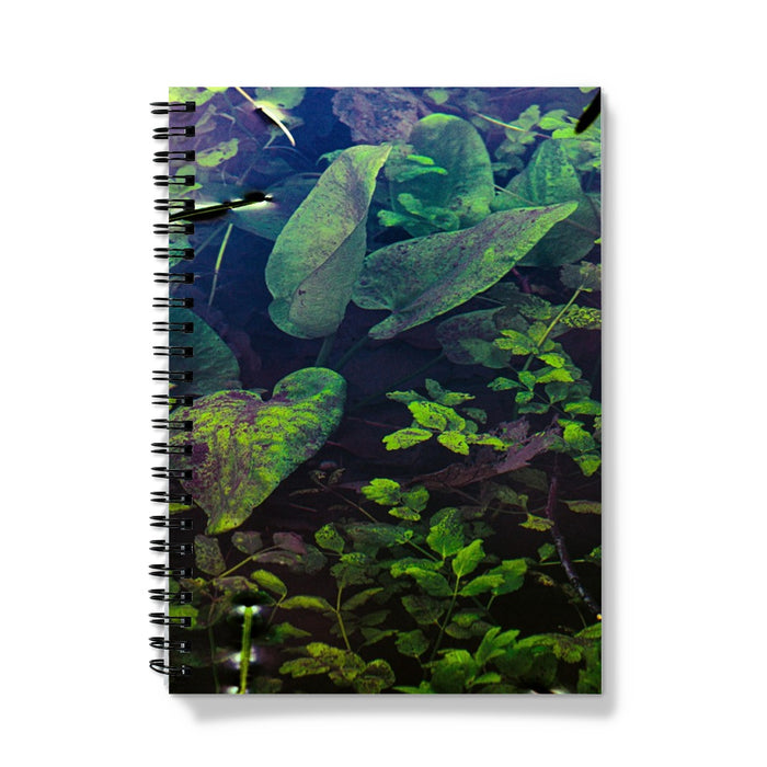 Sacred Pool Notebook