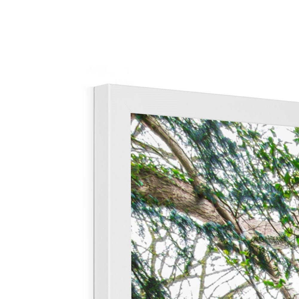 Rock Guardian Framed Print