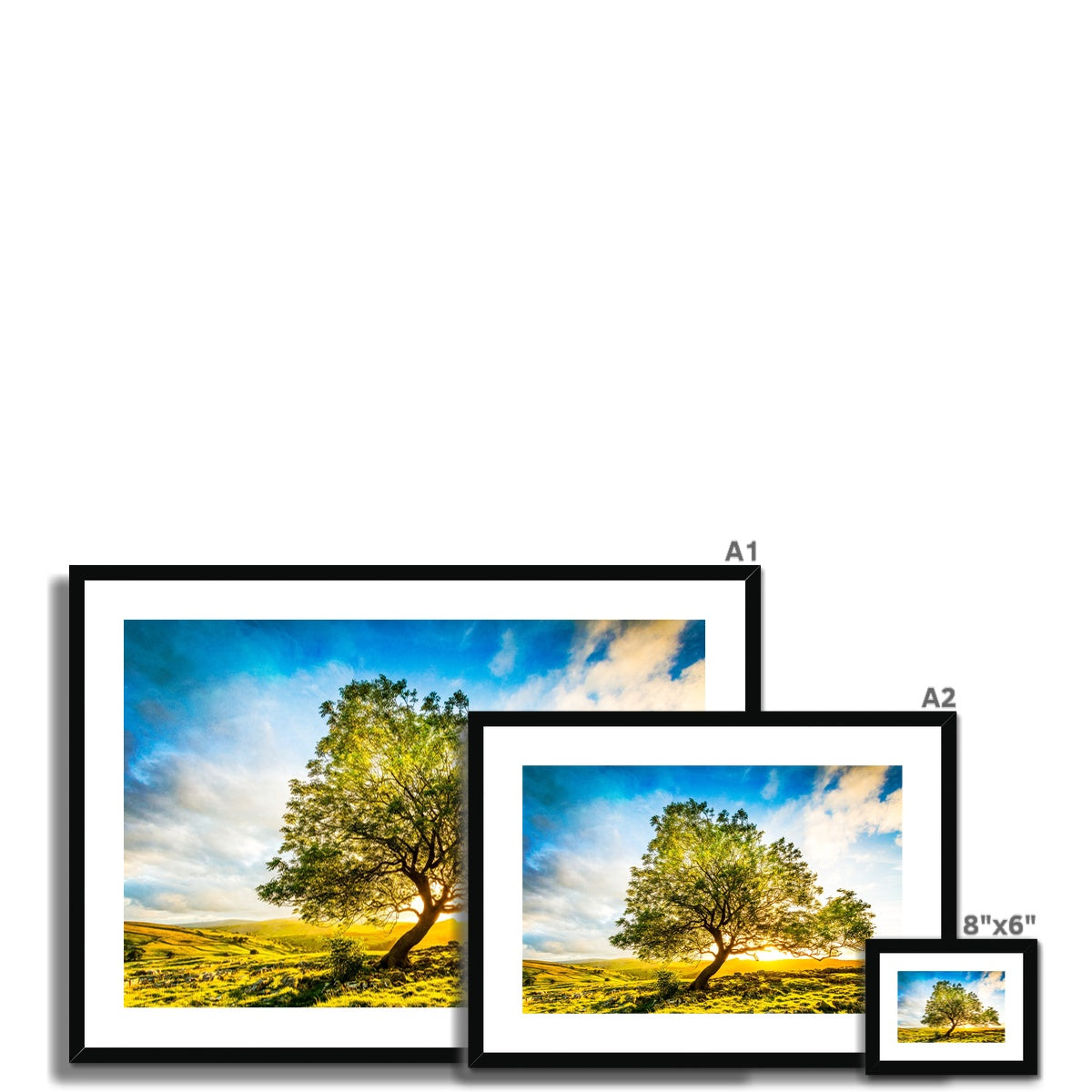 The Winskill Ash Framed & Mounted Print