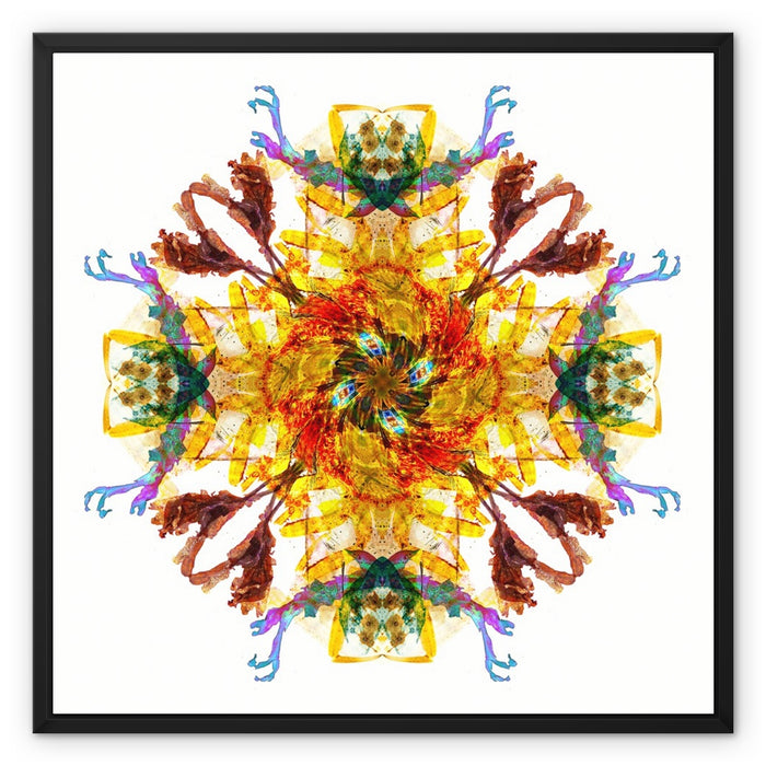 Ancient Wisdom Mandala Framed Canvas