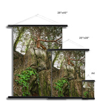 Boulder and Yew Fine Art Print with Hanger