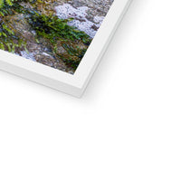 Ivy Clad Framed Print