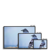 The Raven of Ireland Framed Canvas