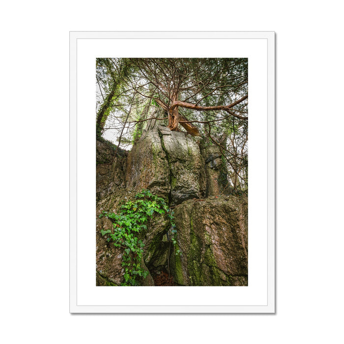 Boulder and Yew Framed & Mounted Print