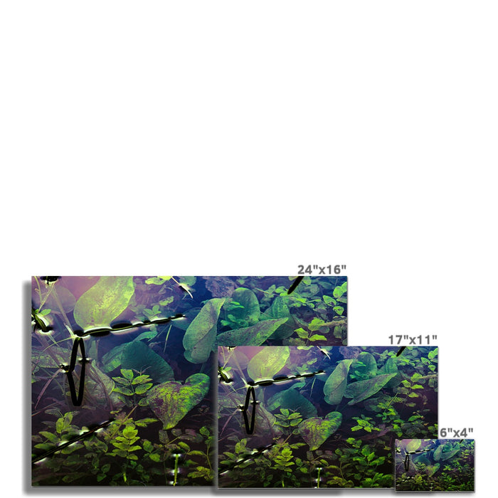 Sacred Pool Wall Art Poster