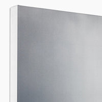Storm Raven 2 Canvas