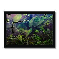 Sacred Pool Framed Print