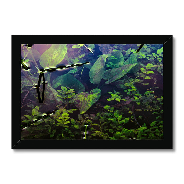 Sacred Pool Framed Print