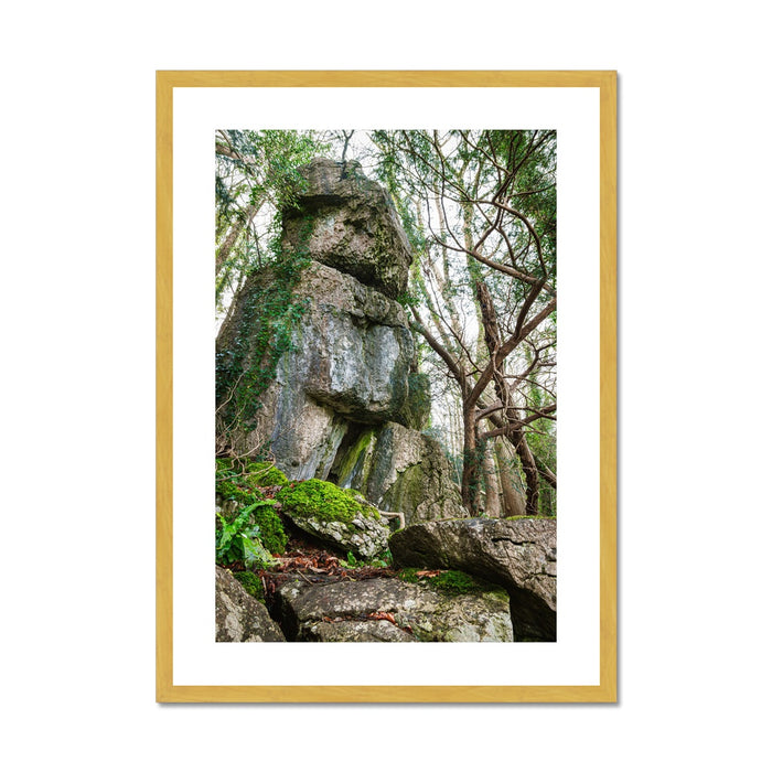 Rock Guardian Antique Framed & Mounted Print