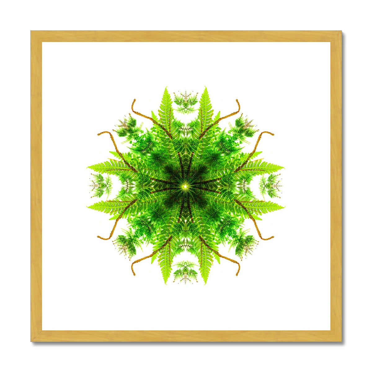Heart of Nature Antique Framed & Mounted Print