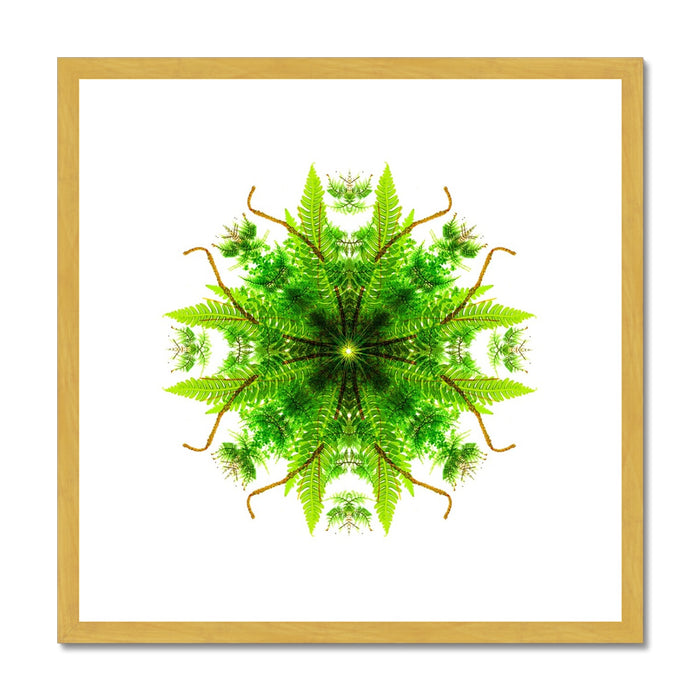 Heart of Nature Antique Framed & Mounted Print