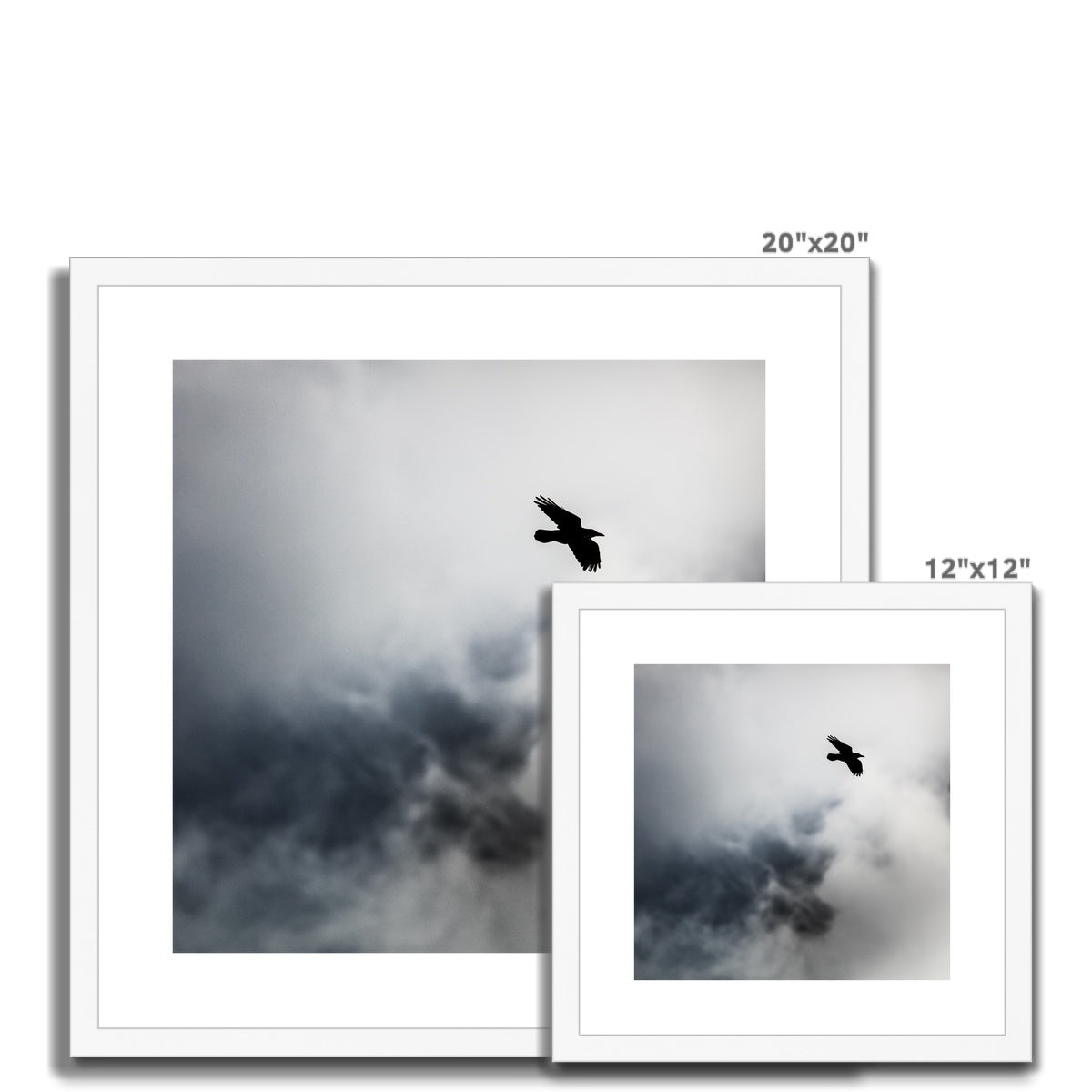 Storm Raven 2 Framed & Mounted Print