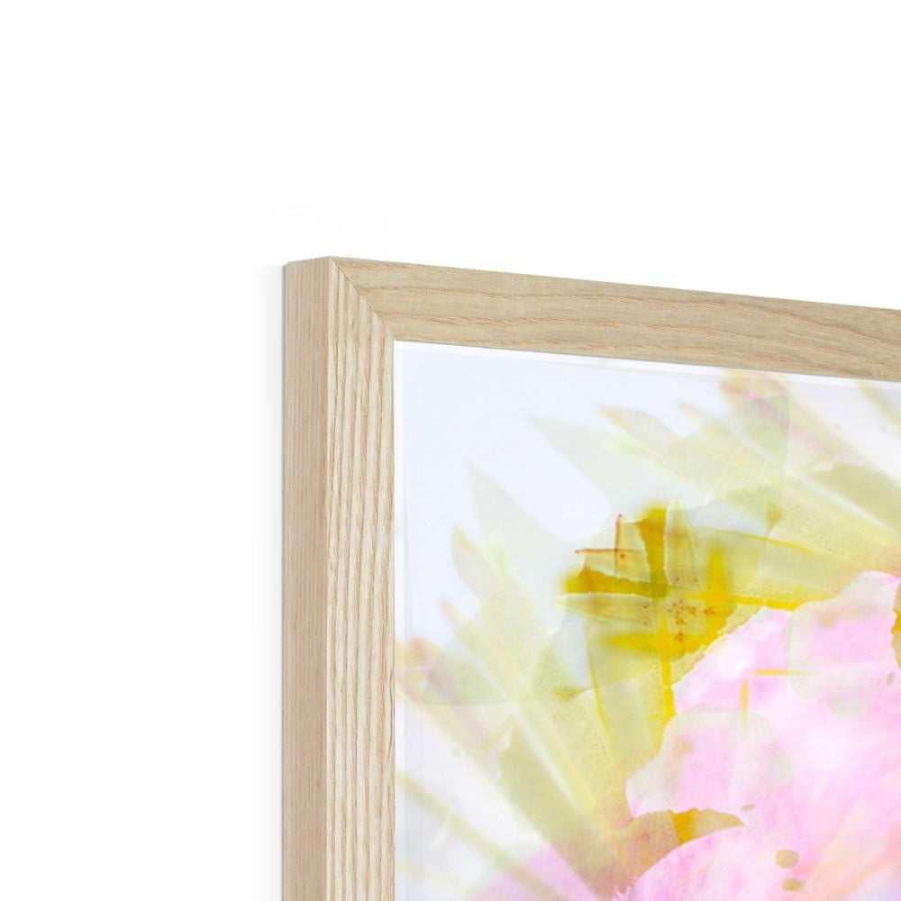 Rescue Remedy Framed Print