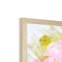Rescue Remedy Framed Print