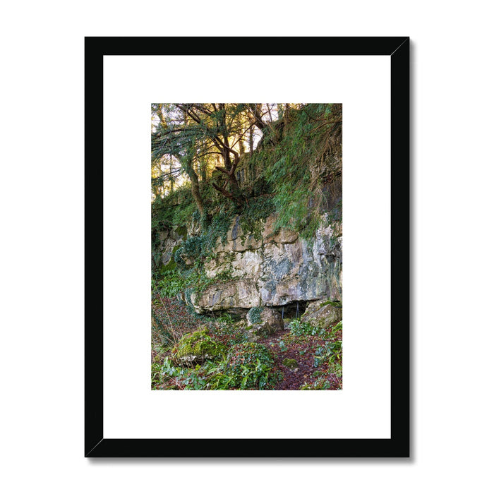 Woodwell Mystery Framed & Mounted Print