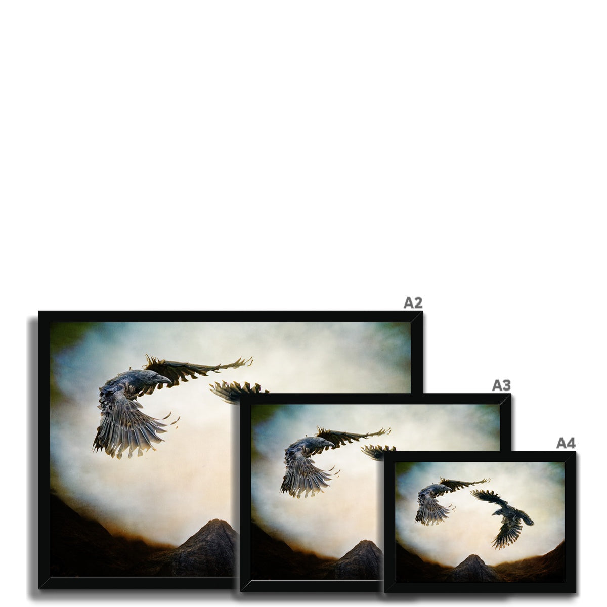 Odin's Ravens Framed Print