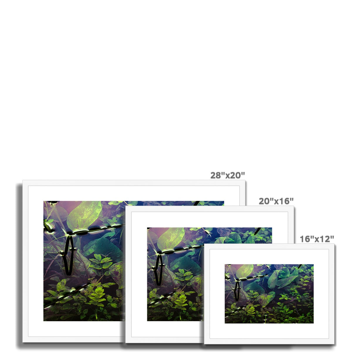 Sacred Pool Framed & Mounted Print