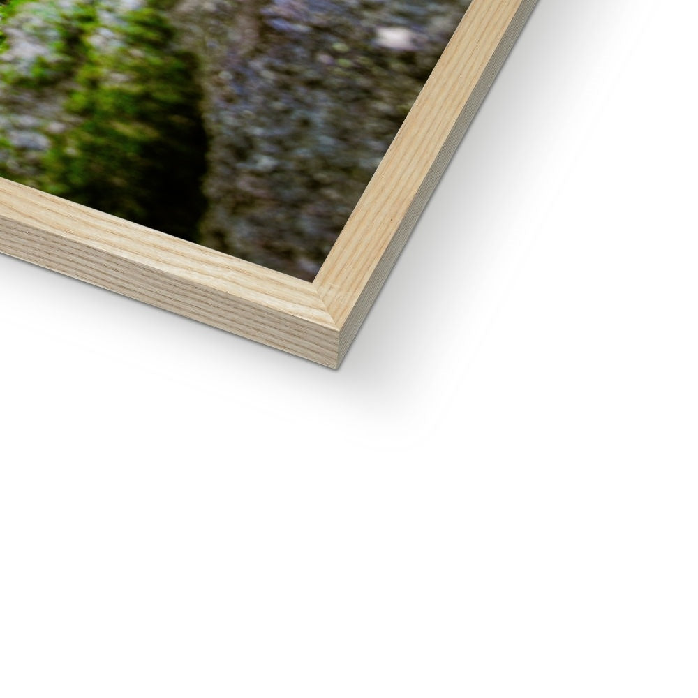 Woodwell basin Framed Print